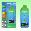 Bang King City 50K Puffs - Bang King Polska Bang King City 50K Puffs - Bang King Polska