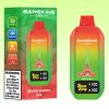 Bang King City 50K Puffs - Bang King Polska Bang King City 50K Puffs - Bang King Polska