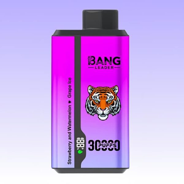 Bang Leader 30K Puffs - Bang King Polska Bang Leader 30K Puffs - Bang King Polska