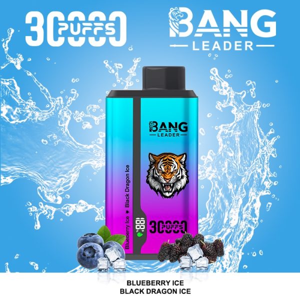 Bang Leader 30K Puffs - Bang King Polska Bang Leader 30K Puffs - Bang King Polska